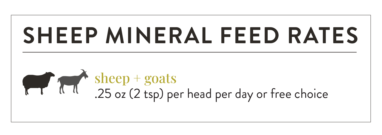 Sheep Mineral Redmond Agriculture